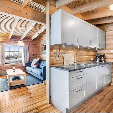 Fidjeland Fjellgrend Villa Dış mekan fotoğraf