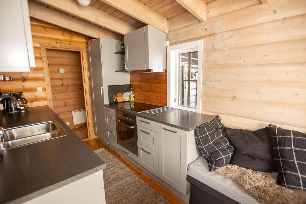 Fidjeland Fjellgrend Villa Dış mekan fotoğraf