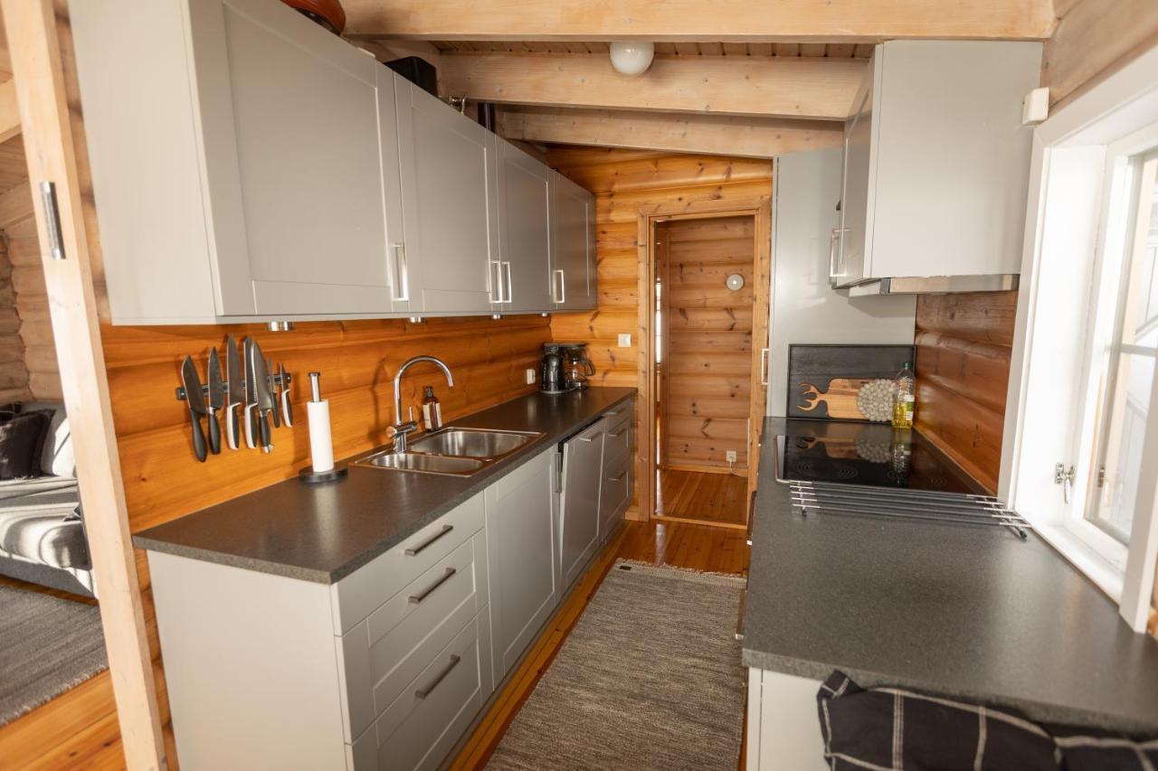 Fidjeland Fjellgrend Villa Dış mekan fotoğraf